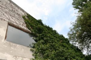 Mehr über den Artikel erfahren Immobiliengutachter im Kreis Viersen