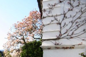 Mehr über den Artikel erfahren Immobiliengutachter Düsseldorf-Oberkassel